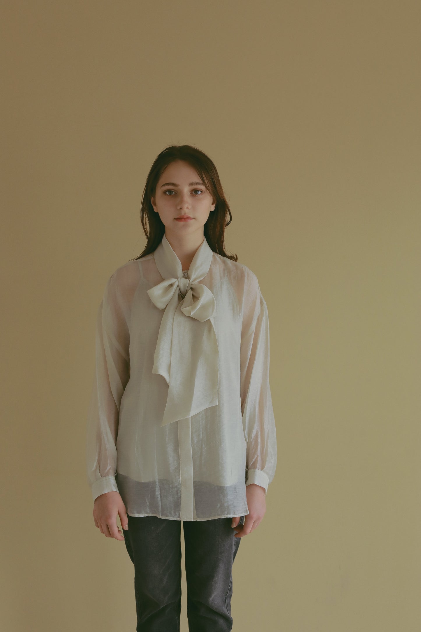 【 price down】2wayシースルーブラウス