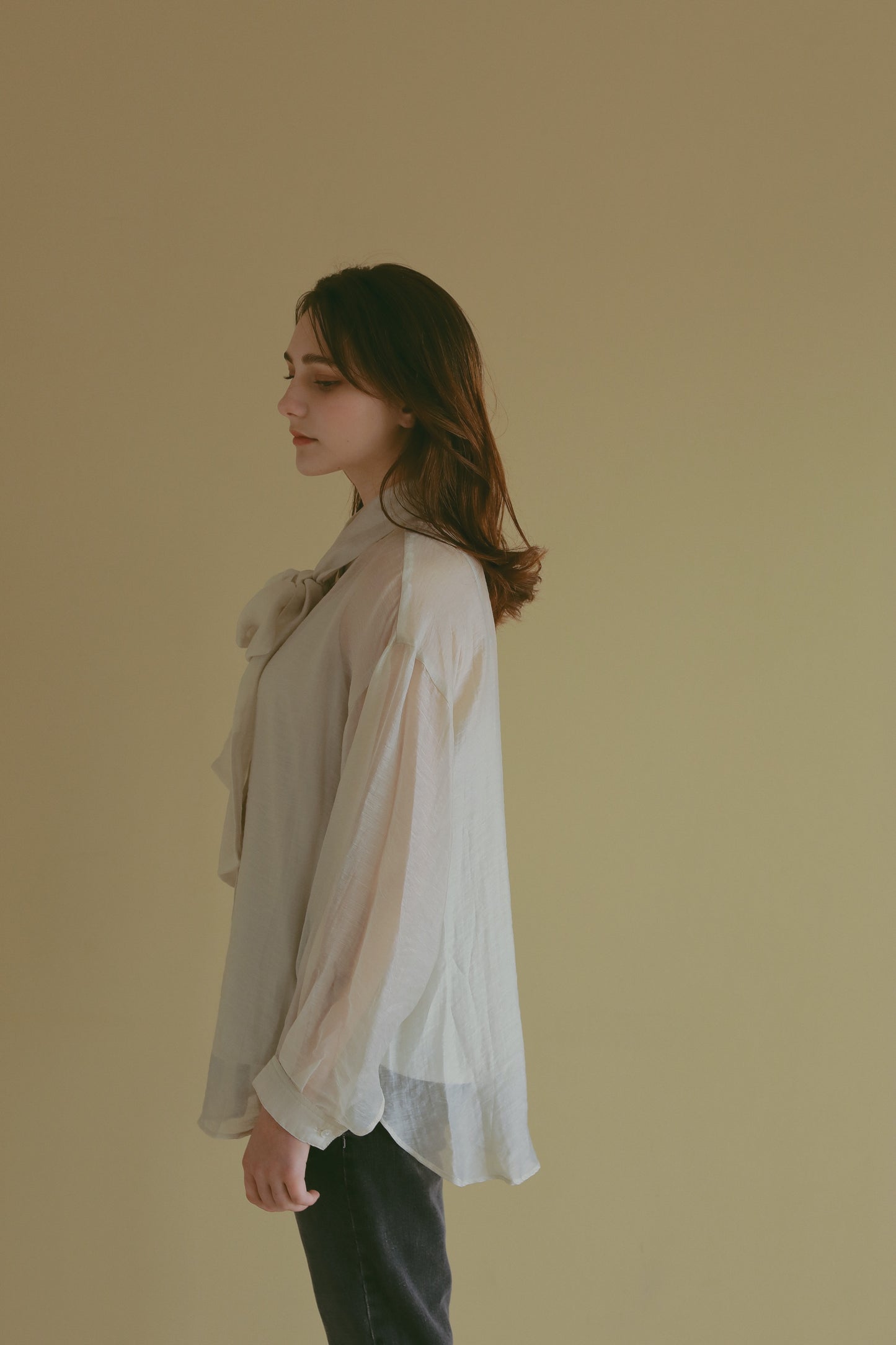 【 price down】2wayシースルーブラウス