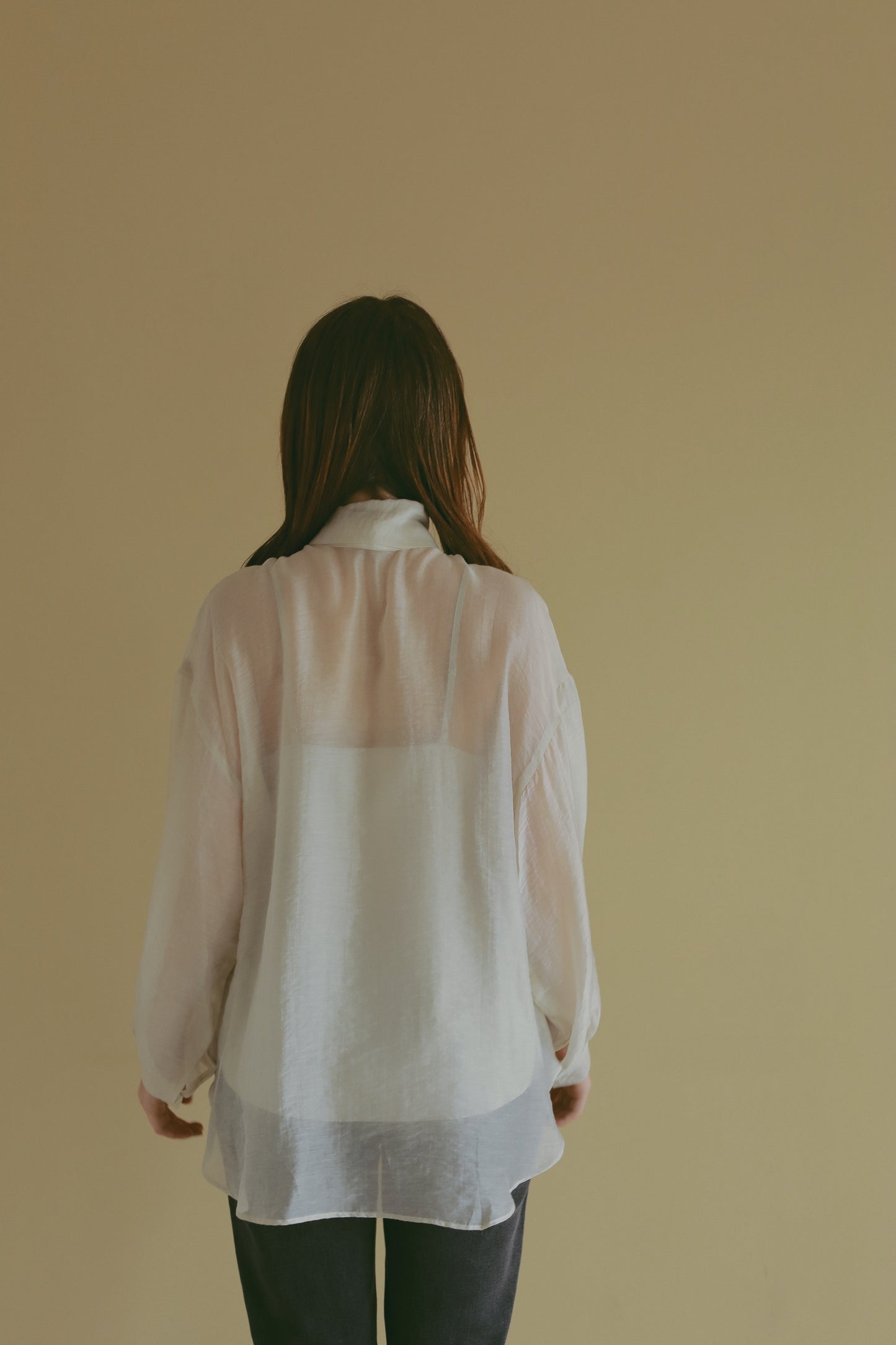 【 price down】2wayシースルーブラウス