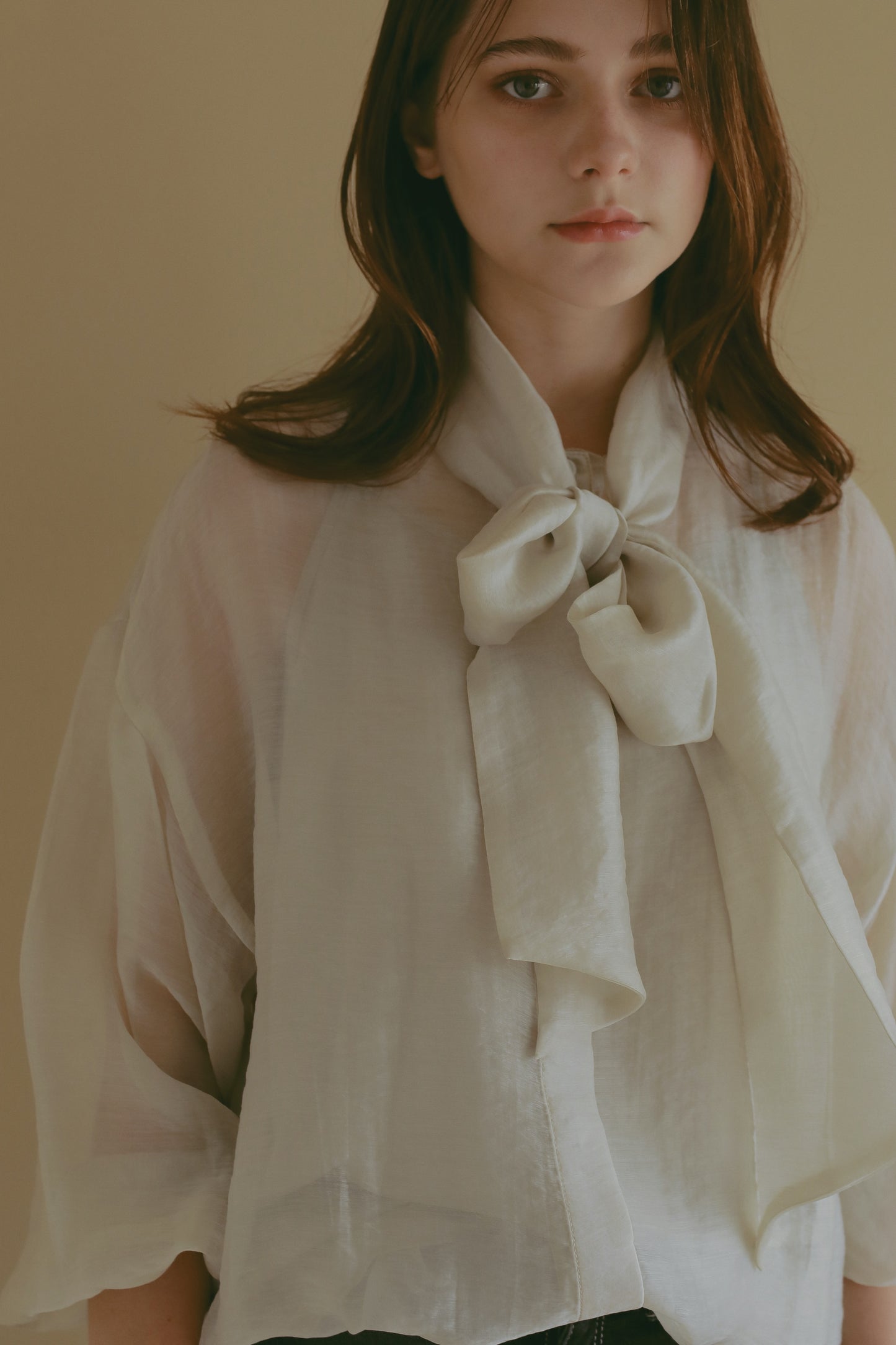 【 price down】2wayシースルーブラウス